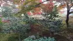20191118 111516