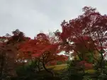 20191118 111504