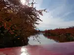 20191111 130417