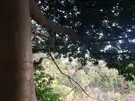 20191115 155531