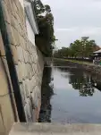 20191118 132022