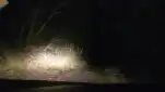 20191123 231544