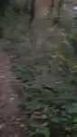 20191127 163505