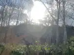 20191110 122247