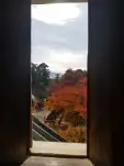 20191111 113544