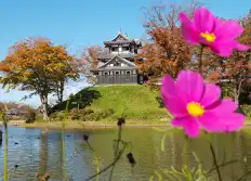 Japon 2019
