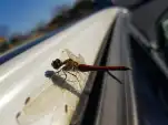 20191113 091206
