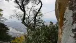 20191116 130428