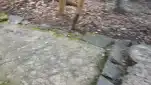 20191123 122745