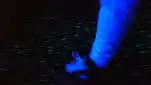20191124 214040