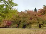 20191111 105233