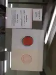 20191116 123720