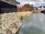20191114 110425