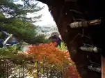 20191115 103140