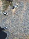 20191105 142238