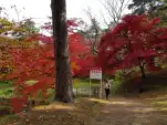 20191111 110319