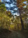 20191105 141700