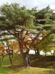 20191106 115702
