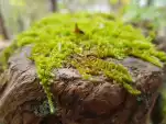20191103 100746