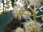 20191115 155415