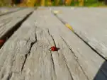 20191111 121137