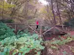20191127 162036