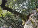 20191116 131353