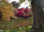 20191111 110000