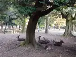 20191117 150900