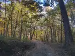 20191105 141723