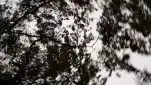 20191127 163054