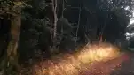 20191123 171417