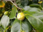20191118 130141