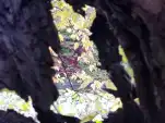 20191111 105415