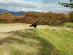 20191106 115449