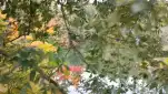 20191118 111657