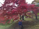 20191111 110407