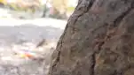 20191117 112251