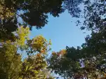 20191105 141758