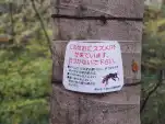 20191127 160501