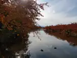 20191111 130423