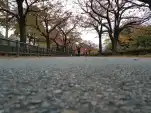20191115 163500