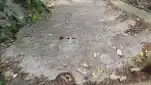 20191116 130627