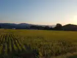 20191116 162211