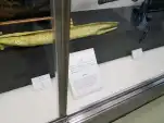 20191116 120228