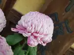 20191125 104727