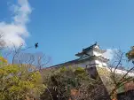 20191119 095541