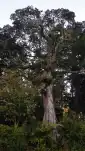 20191115 165312