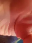 20200313 192852 029