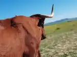20200227 114044